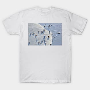 Sea Shells at the Beach T-Shirt